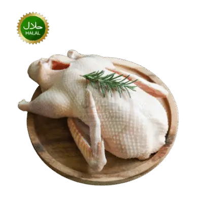 Duck Whole 1.6-1.7kg fresh halal whole duck premium quality raw poultry hygienically packed ready for roast and cooking