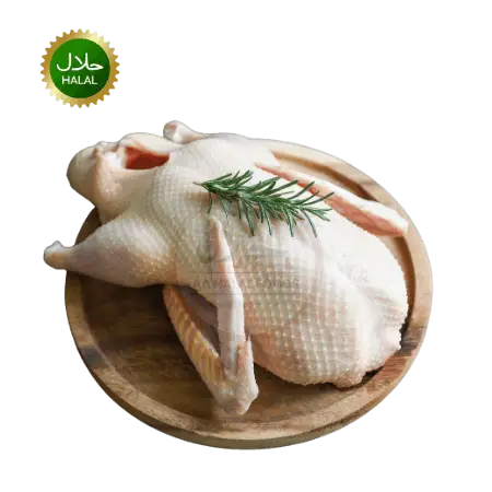 Duck Whole 1.6-1.7kg fresh halal whole duck premium quality raw poultry hygienically packed ready for roast and cooking