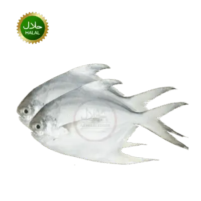 Rupchanda Fish 800g fresh frozen pomfret pack
