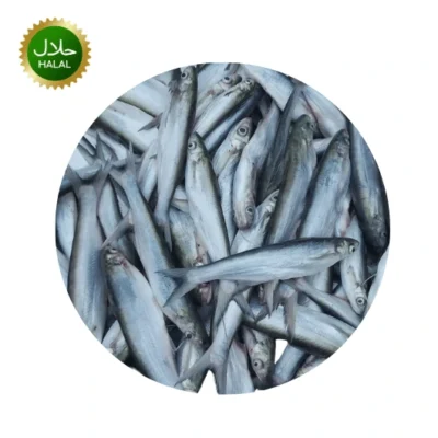 Fresh frozen Bacha Fish 500g premium quality packaging
