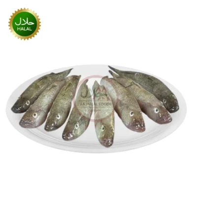 Baila Fish 500g fresh small bele fish cleaned pack