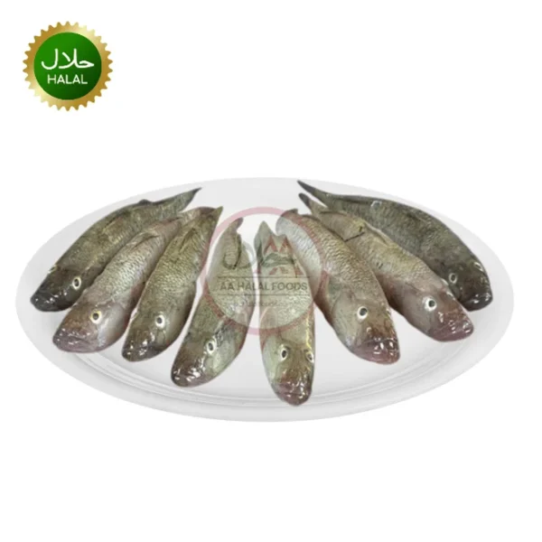 Baila Fish 500g fresh small bele fish cleaned pack