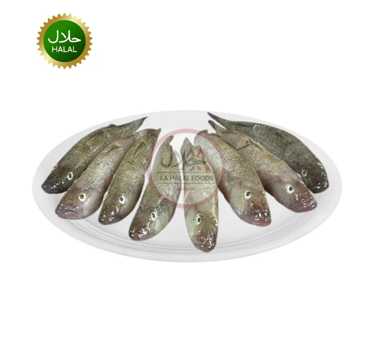 Bele Fish Baila Fish 500g fresh small bele fish cleaned pack