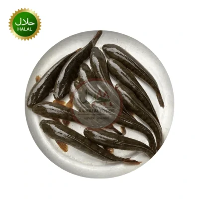 Taki Fish 600g Cleaned fresh halal fish in Japan