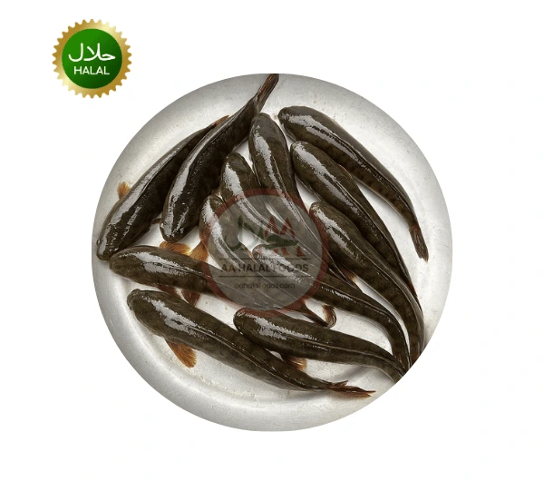 Frozen Taki Fish Taki Fish 600g Cleaned fresh halal fish in Japan