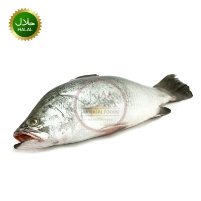 Cleaned and frozen Koral Fish Whole Slice pack 1–1.2kg