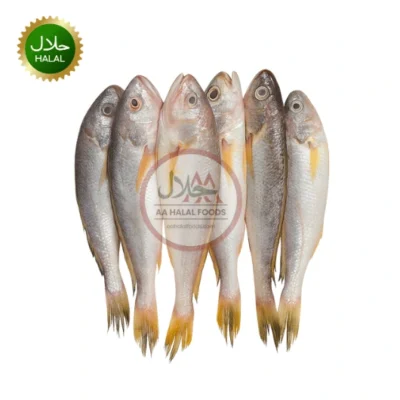Poa fish block frozen seafood close-up