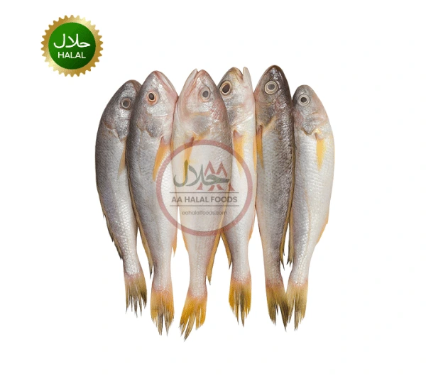 Poa fish block frozen seafood close-up