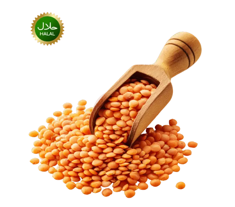 Masoor Dal (BD) 1kg premium red lentils pack