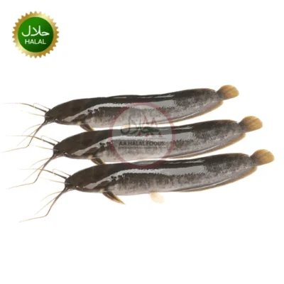 Magur Cat Fish Whole 800g fresh cleaned catfish pack