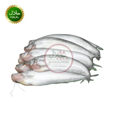 Tangra Fish 300g fresh small fish pack for cooking