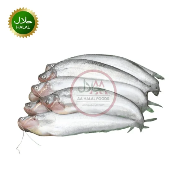 Tangra Fish 300g fresh small fish pack for cooking