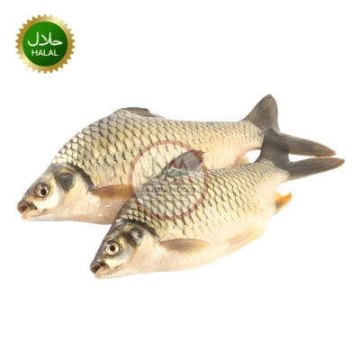 Shorputi 500-600g fresh frozen fish premium pack