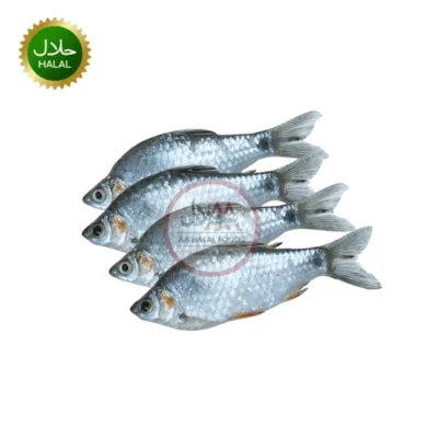 Whole small Shorputi fish ready for cooking