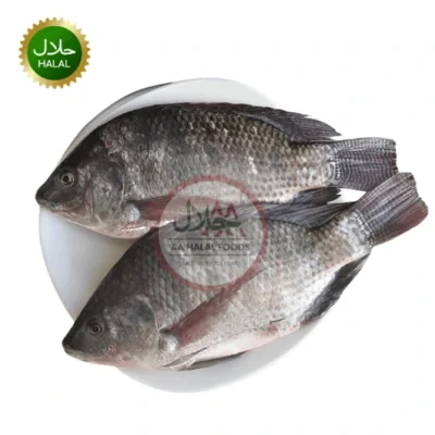 Tilapia Fish Cleaned 500–600g fresh cleaned fish pack