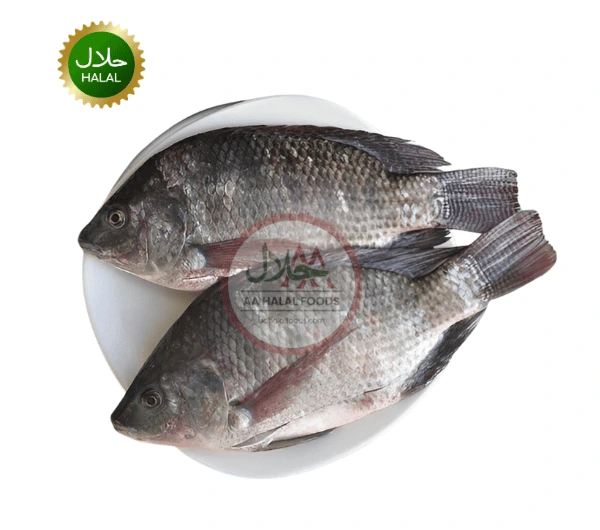 Tilapia Fish Cleaned 500–600g fresh cleaned fish pack