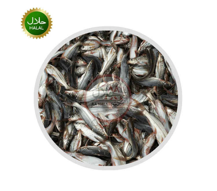 Tengra fish Tangra Fish 300g fresh small fish pack for cooking
