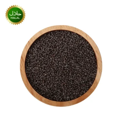 Black Mustard Seeds 100g Ambika premium quality black mustard spice whole seeds fresh aroma hygienically packed for curry and tempering cooking