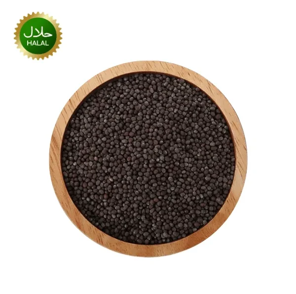 Black Mustard Seeds 100g Ambika premium quality black mustard spice whole seeds fresh aroma hygienically packed for curry and tempering cooking