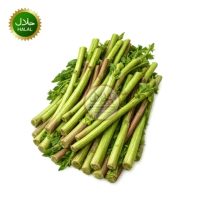 Fresh Data 1kg Danta fresh vegetable