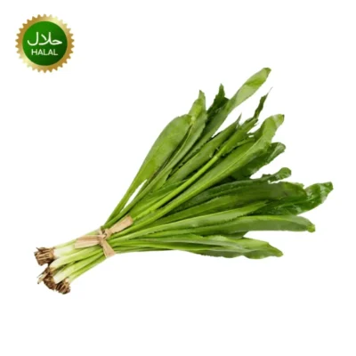 Fresh Long Coriander 100g Bilati Dhonia