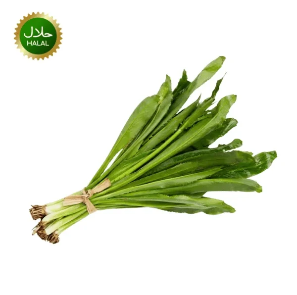 Fresh Long Coriander 100g Bilati Dhonia