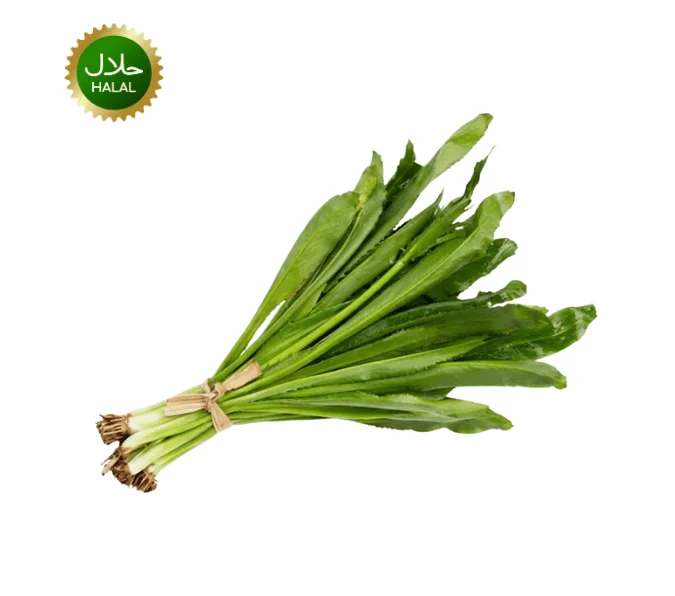 Fresh Coriander (1) Fresh Long Coriander 100g Bilati Dhonia