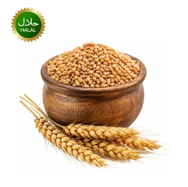 Whole Wheat Grain 1kg natural whole wheat seeds pack