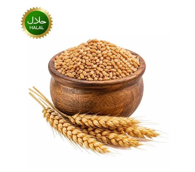 wheat whole 1kg cooking indian 450 Whole Wheat Grain 1kg natural whole wheat seeds pack
