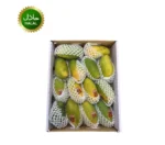 Fresh Pakistani mango 5kg (14-18 piece) - Image 2