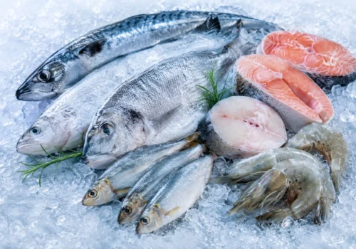 Frozen Fish Online Japan from AA Halal Foods - Premium Halal Seafood